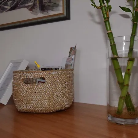 Apartman Cosy And Sweet In Albufeira